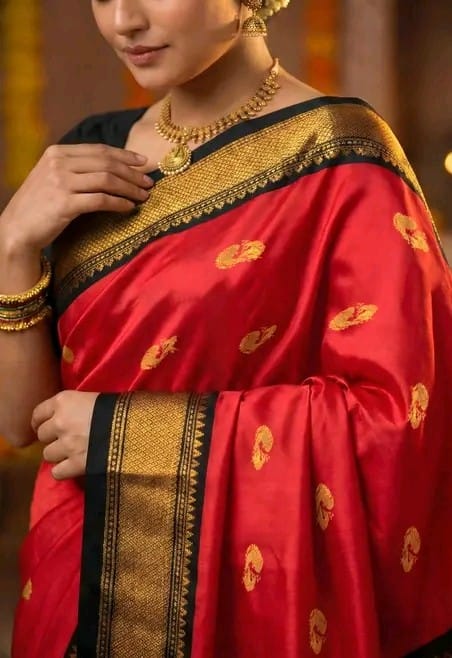 Traditional Saree with elegant pallu design