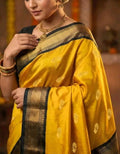 Traditional Saree with elegant pallu design