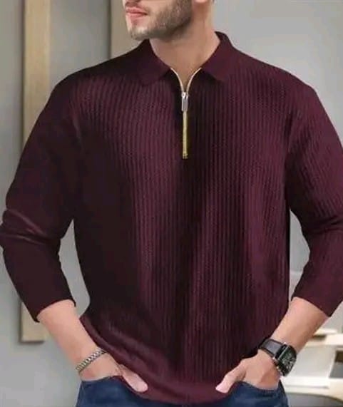 Men Polo Neck Full Sleeve Cotton Blend Regular Tshirt