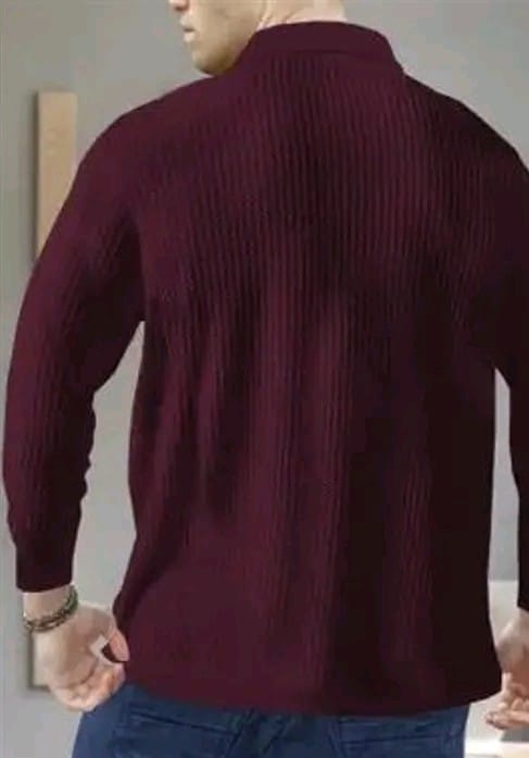 Men Polo Neck Full Sleeve Cotton Blend Regular Tshirt